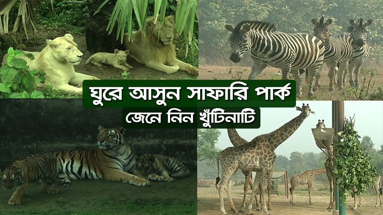 Safari Park | ঘুরে আসুন সাফারি পার্ক | জেনে নিন খুঁটিনাটি তথ্য