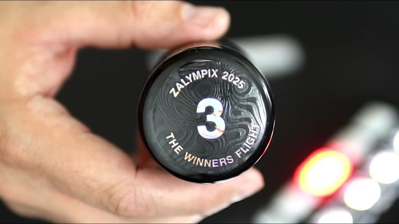 Обзор заявки на участие в полете №3 победителей ZALYMPIX
