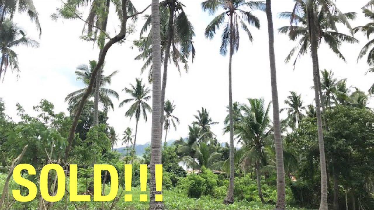 Vlog314: 1 HECTARE FARM LOT WITH A VIEW OF THE MOUNTAIN FOR SALE IN LIPA CITY PHILIPPINES