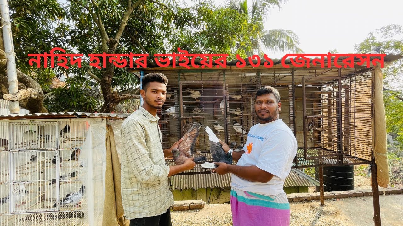 নাহিদ হান্ডার ভাইয়ের ১৩১ জেনারেসন#কবুতর#followersreelsfypviralシfypジviralシalシ