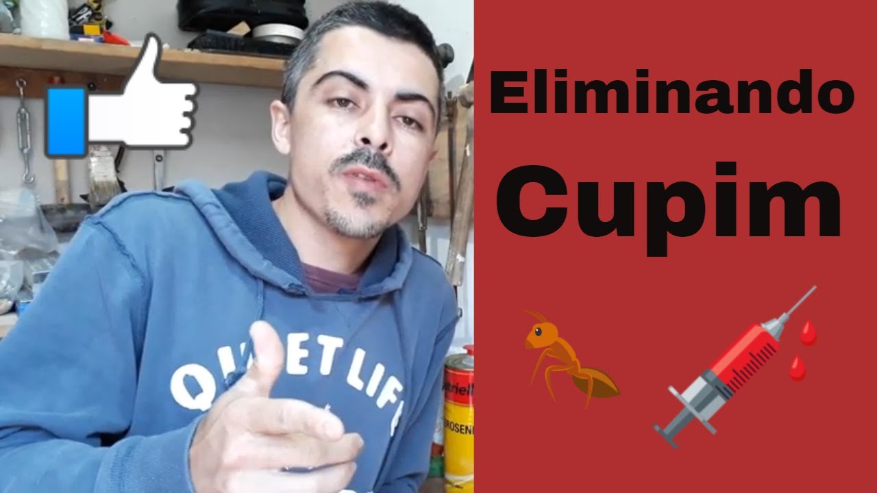 Como eliminar cupim  --  Fácil e rápido