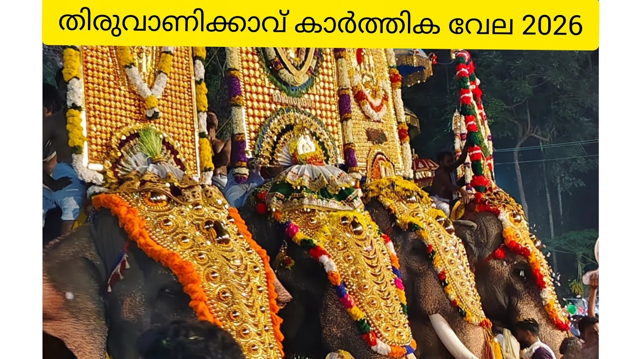തിരുവാണിക്കാവ് കാർത്തിക വേലക്ക് വന്ന ഗജവീരന്മാർ 😍🤩❤️#THIRUVANIKKAV#KARTHIKAVELA2026