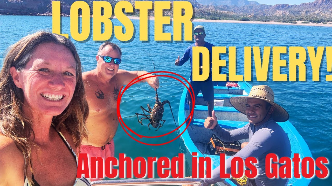 Ужин с лобстером и глоток свежего воздуха! 🦞 Знакомьтесь с друзьями в Лос-Гатос-Анкоридж в Нижней...
