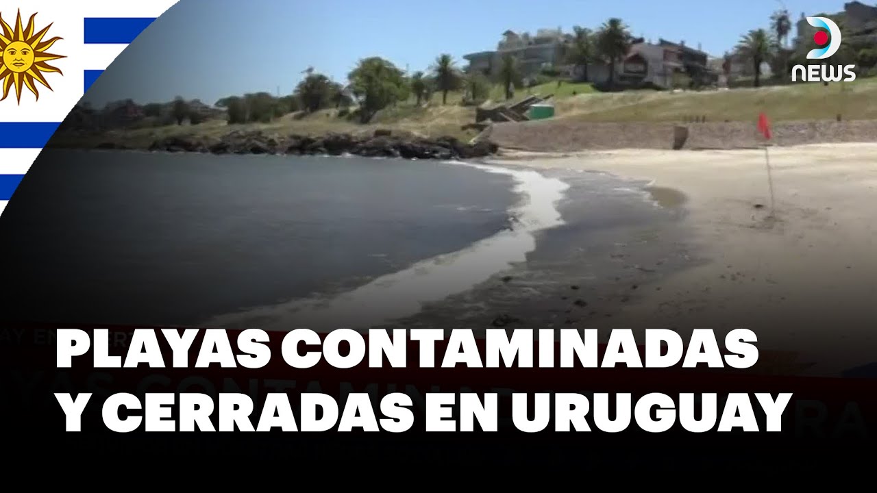 Tres playas de montevideo superaron el nivel de contaminación | DNews