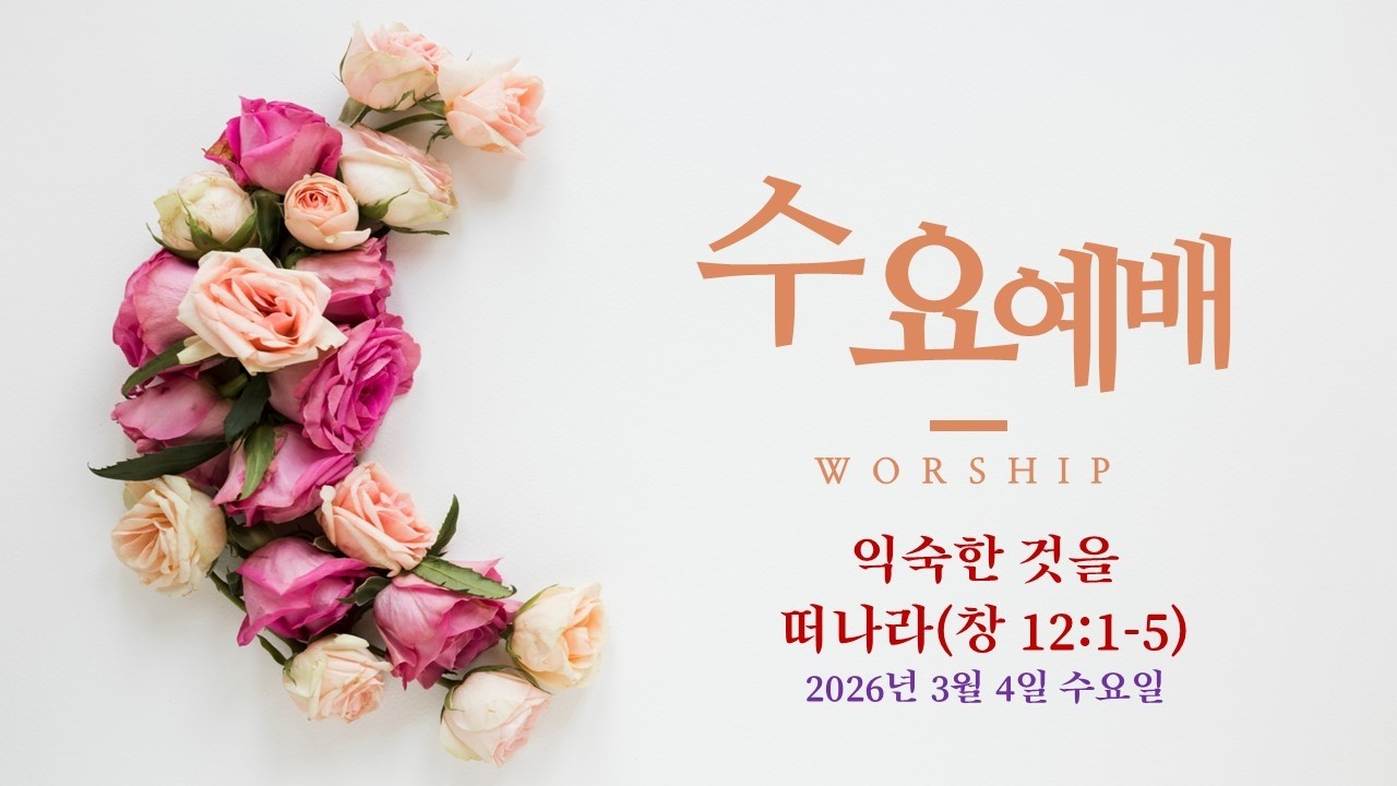 20260304 수요 