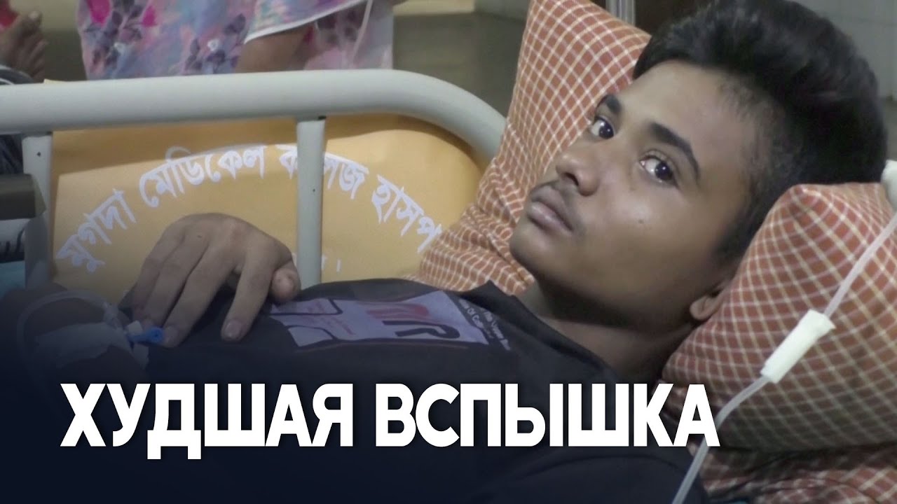 Более тысячи человек умерли от лихорадки Денге в Бангладеш с начала года