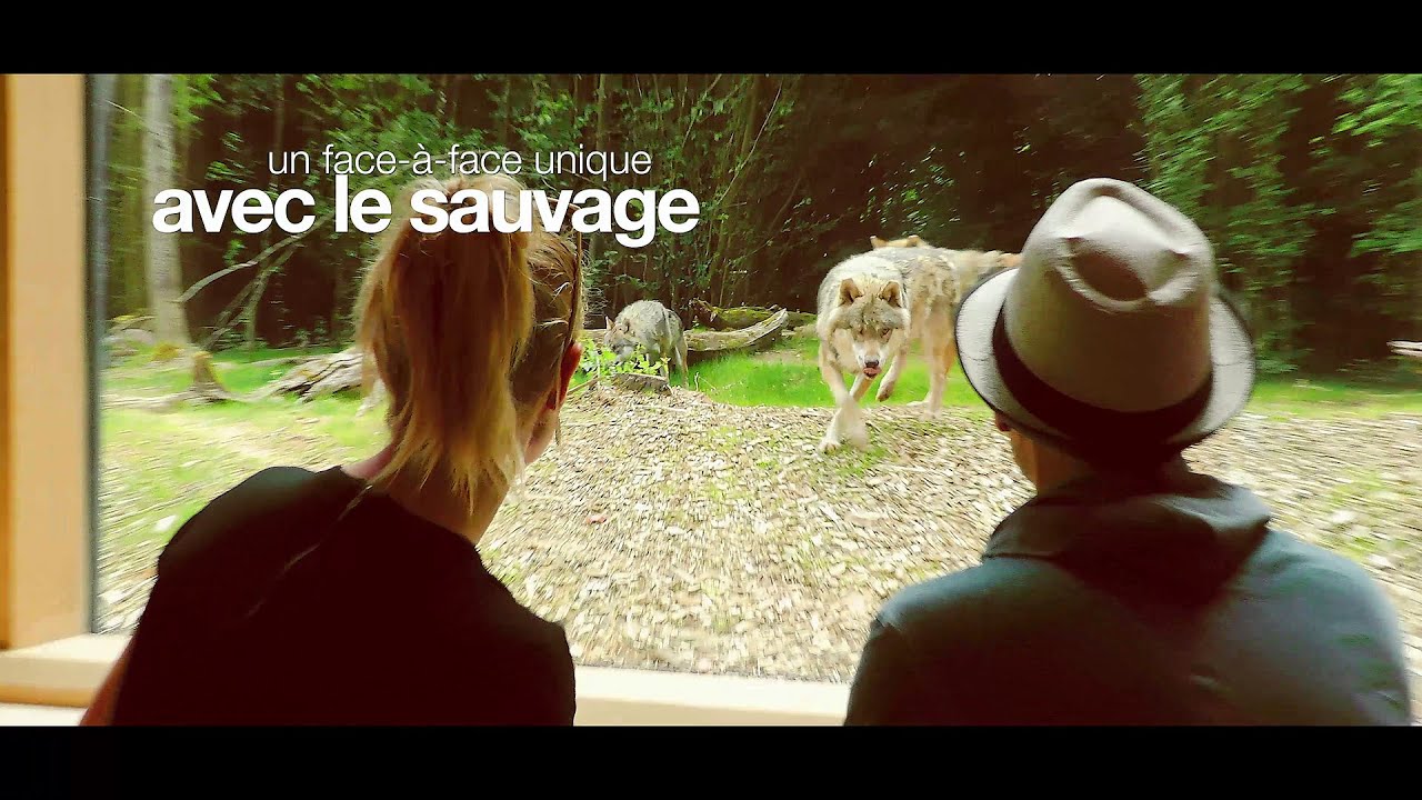 Dormez dans un Lodge Nature au cœur du Parc Animalier de Sainte-Croix 2020 - version longue