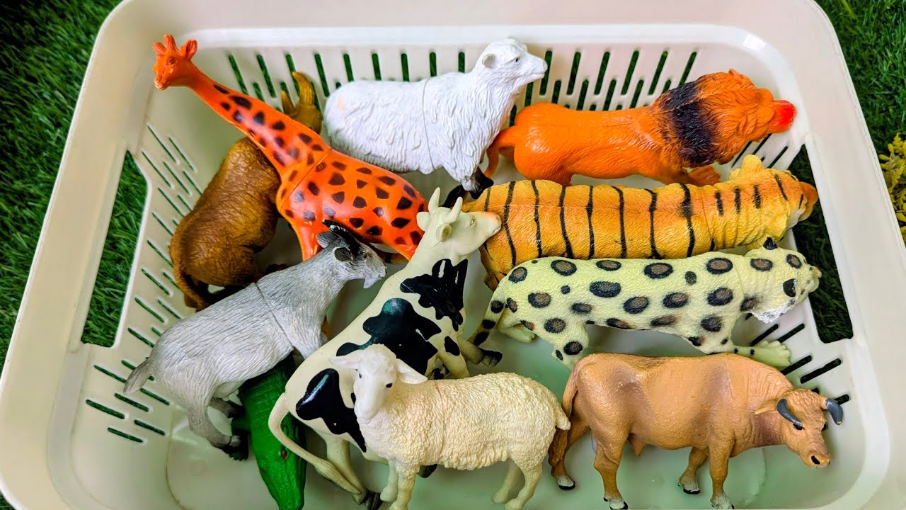 The Exciting Journey! Farm and Wild Zoo Animals with Fun Learning for Kids!