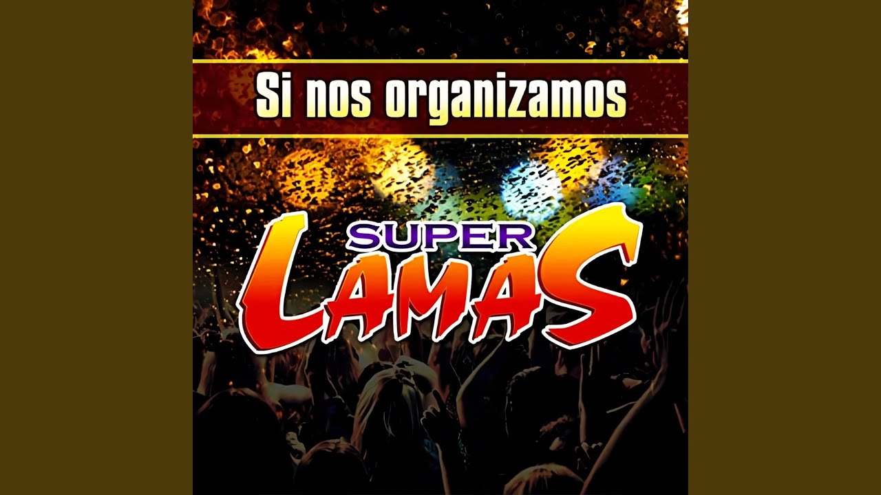 Si Nos Organizamos