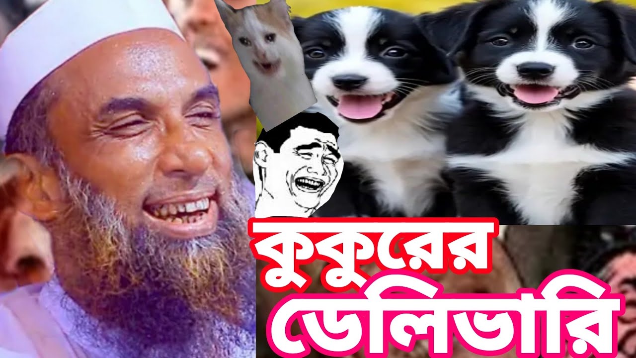 কুকুরের ডেলিভারি কিভাবে হয় হাসির ওয়াজের মাধ্যমে জানতে পারবেন মাওলানা নাসির উদ্দিন যুক্তিবাদী 