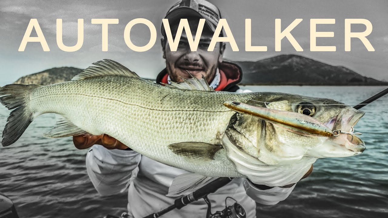 Autowalker 115S- The NEW ultimate Long Cast Surface Lure