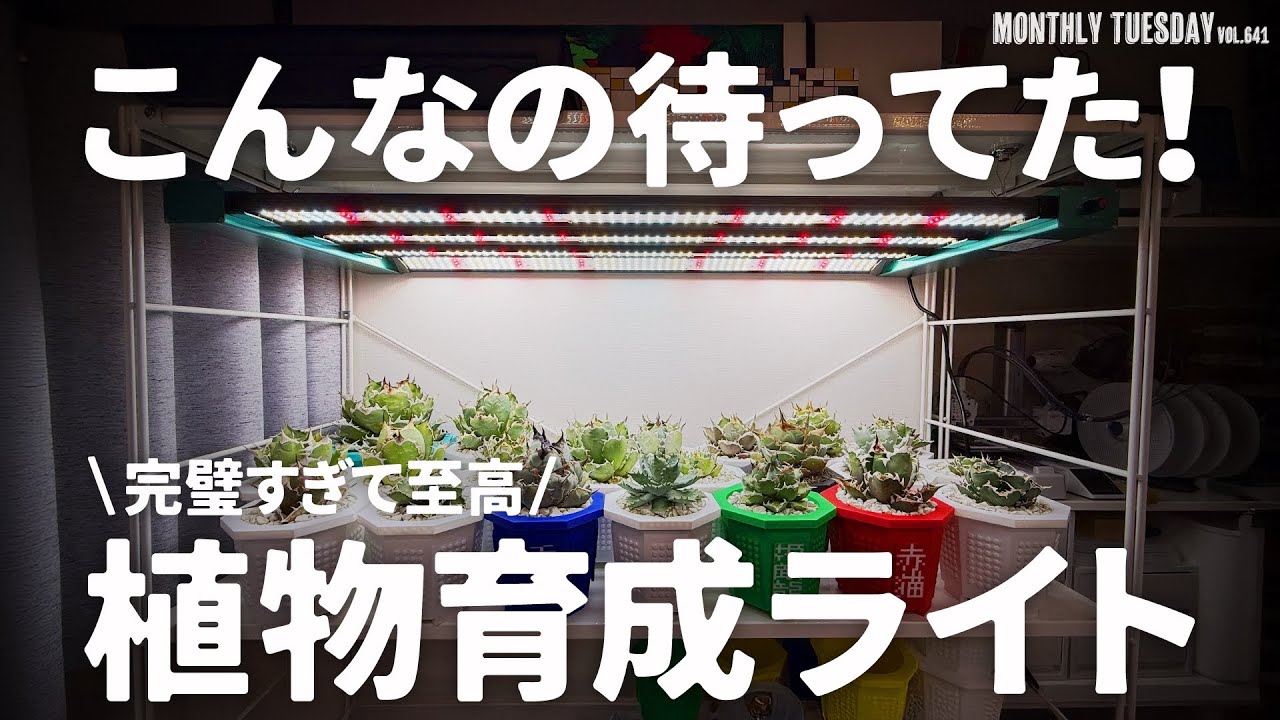 【植物育成LEDライト】kaijyu plantの最上級モデル怪獣メガフレアを購入！