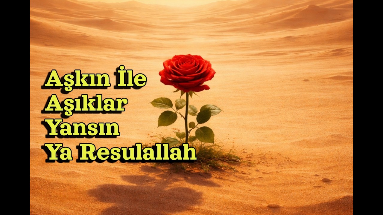 Aşkın İle Aşıklar Yansın Ya Resulallah | Sufi Echoes | İlahi Cover (Yunus Emre İlahileri)