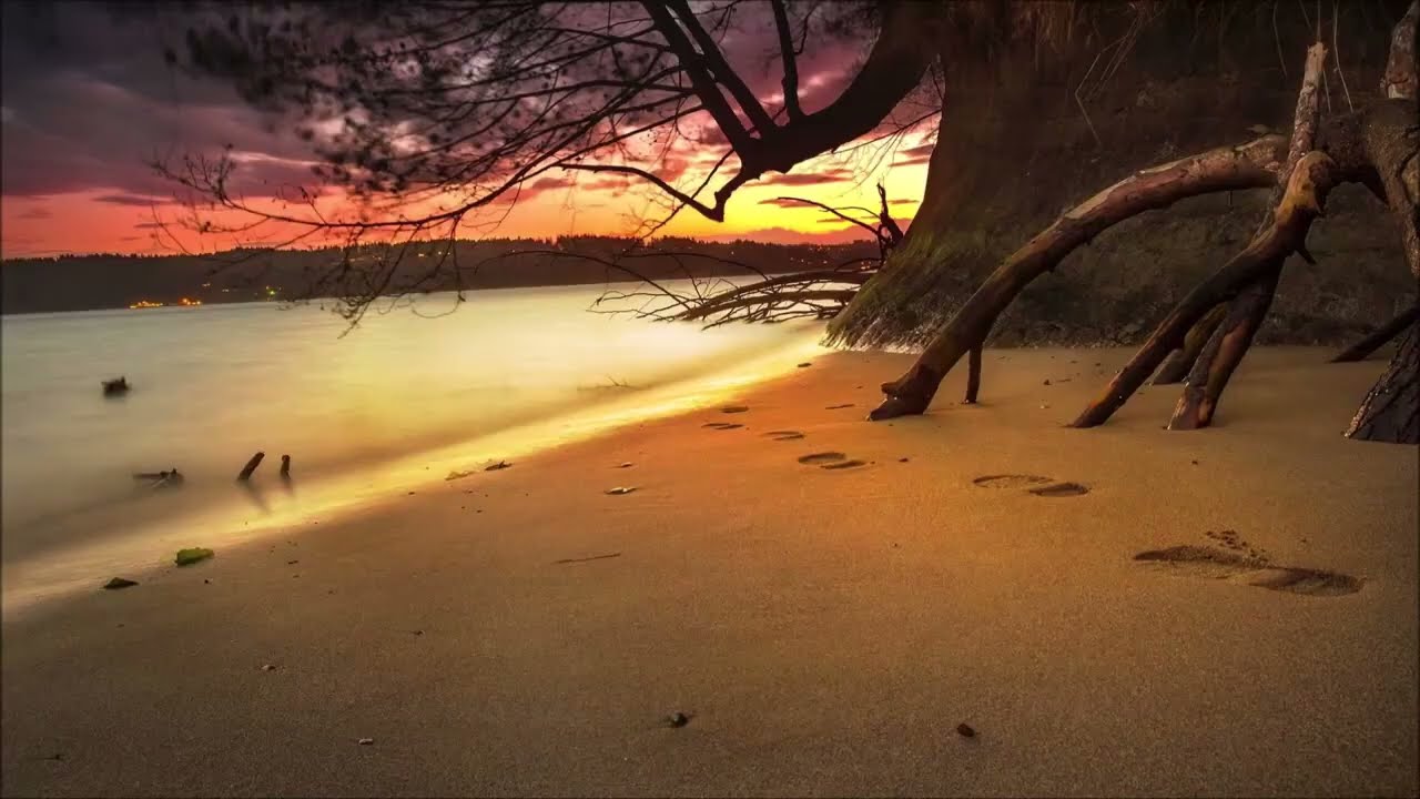Les Feuilles Mortes (lyric video) | one hour non-stop
