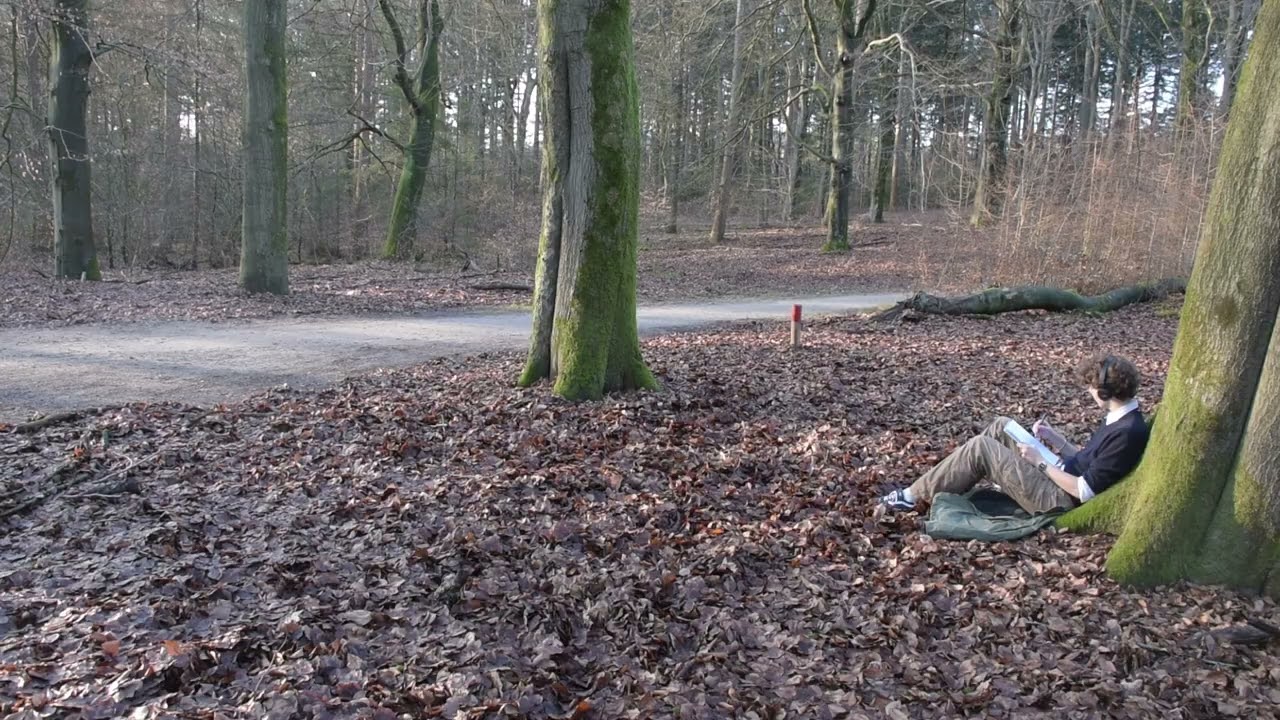 Max Merijn Terpstra  - HKU introfilm