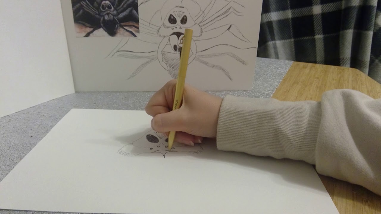 KS2 Art lesson on observational drawing -Amington Heath Primary School
