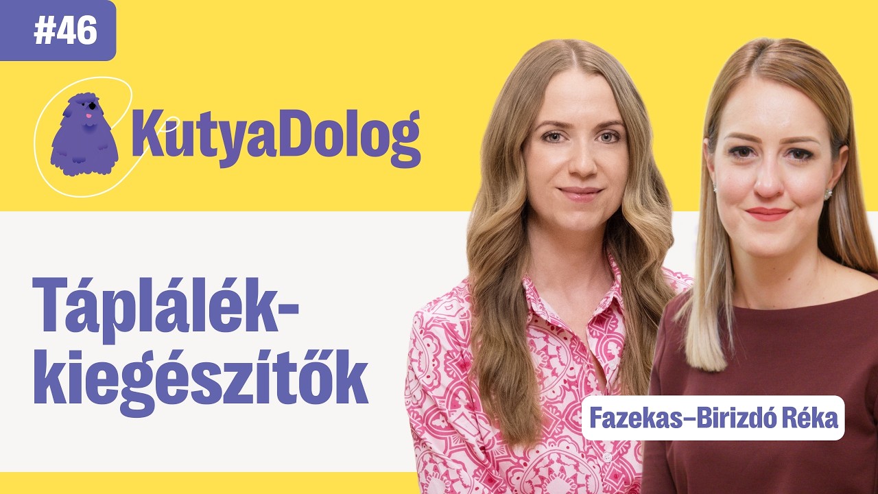 Kutya vitamin vagy táplálékkiegészítő: melyik mire való? | KutyaDolog podcast #46