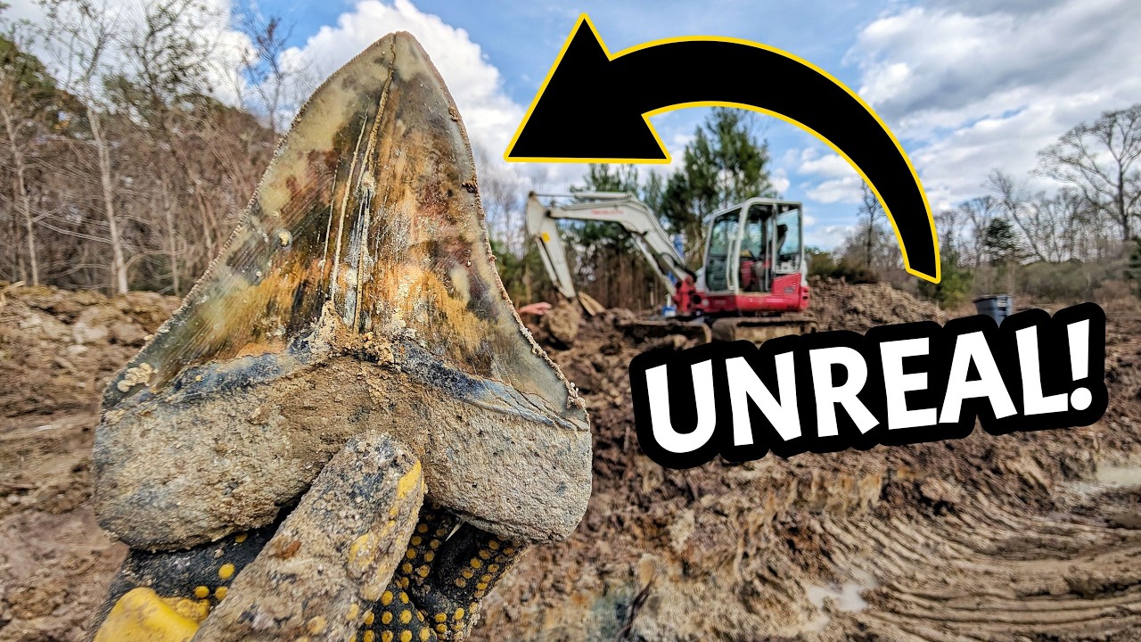 We Dug DEEP and Found MASSIVE Shark's Teeth with Palmetto Fossil Excursions!