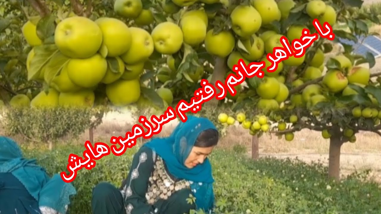 عزیزان با خواهر جانم رفتیم سرزمین هایش