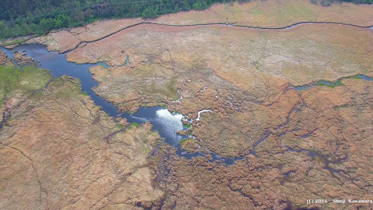 DRONE×HOKKAIDO 4K　コッタロ湿原　「Kottaro Wetland」　Kushiro-Shitsugen National Park