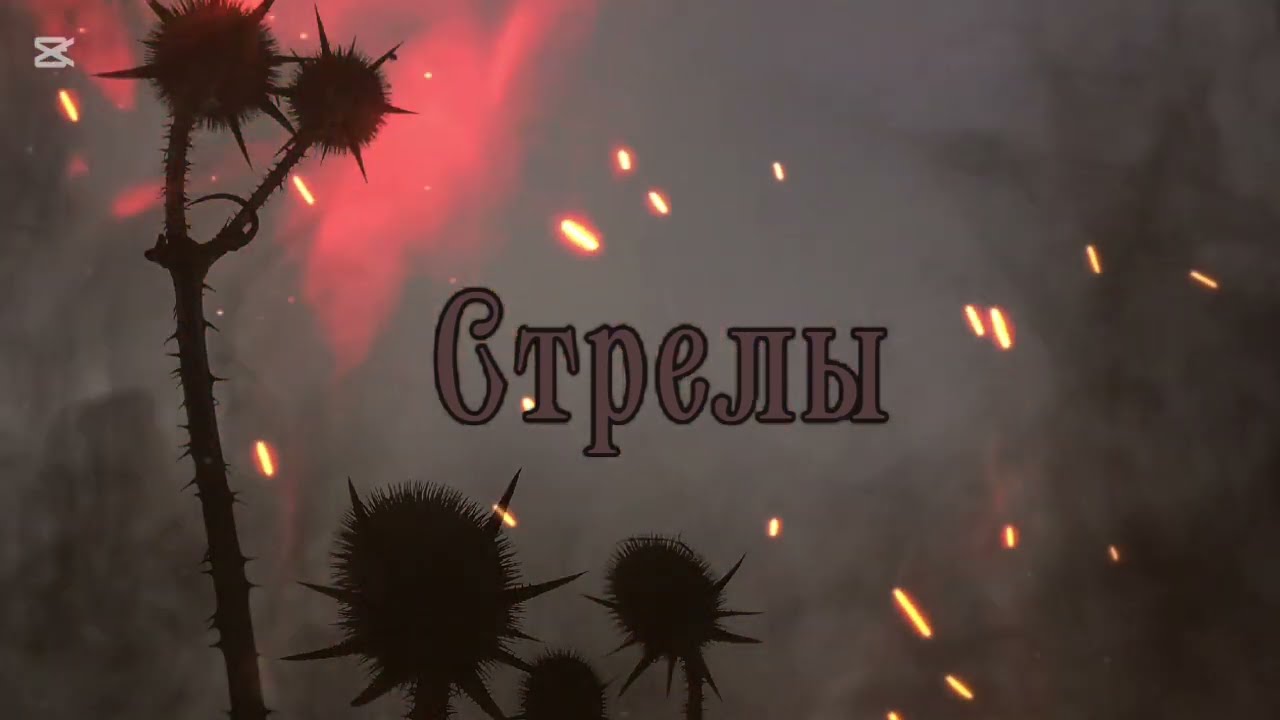 Radio Nova Band - Стрелы  (Arrows) / Lyric Video
