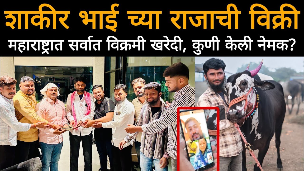 शाकीर भाई च्या राजाची विक्री | महाराष्ट्रात सर्वात विक्रमी खरेदी, कुणी केली, का केली,किती दिली रक्कम