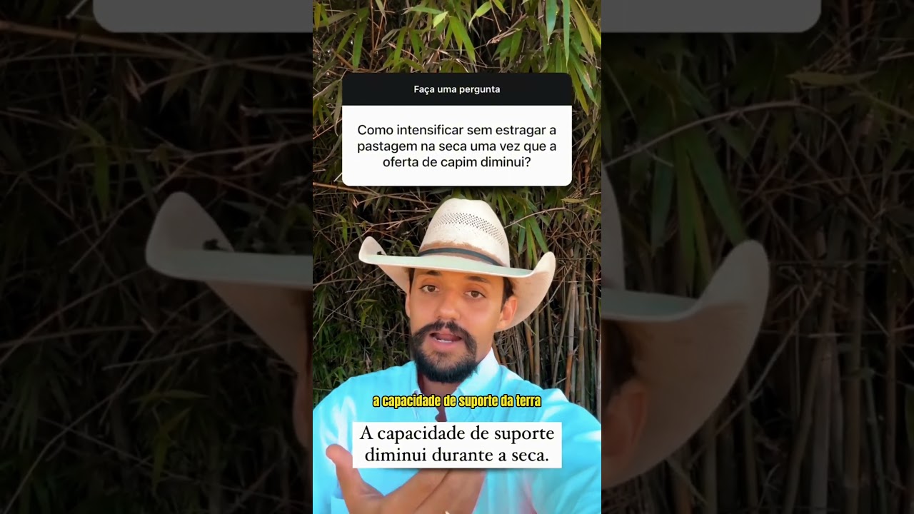 Como Intensificar sem Estragar a Pastagem na Seca uma vez que a Oferta de Capim Diminui ?? 🇧🇷🐂