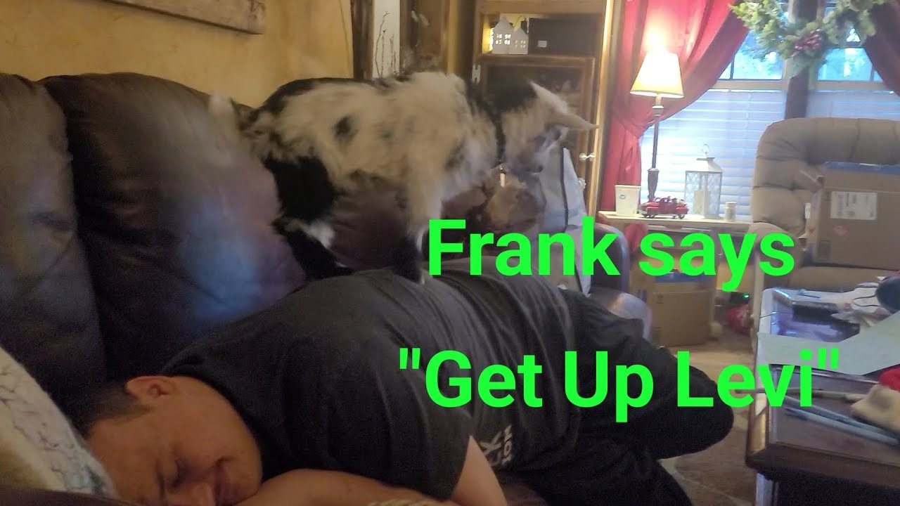 Frank says 