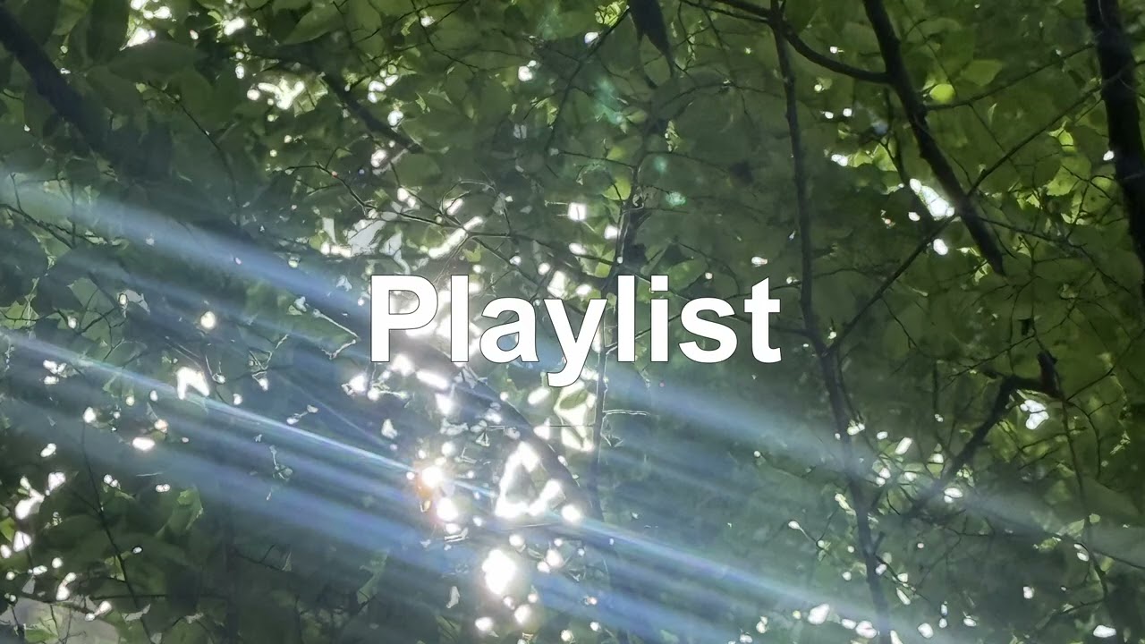 Playlist 틀자마자 느낌 좋은 플레이리스트