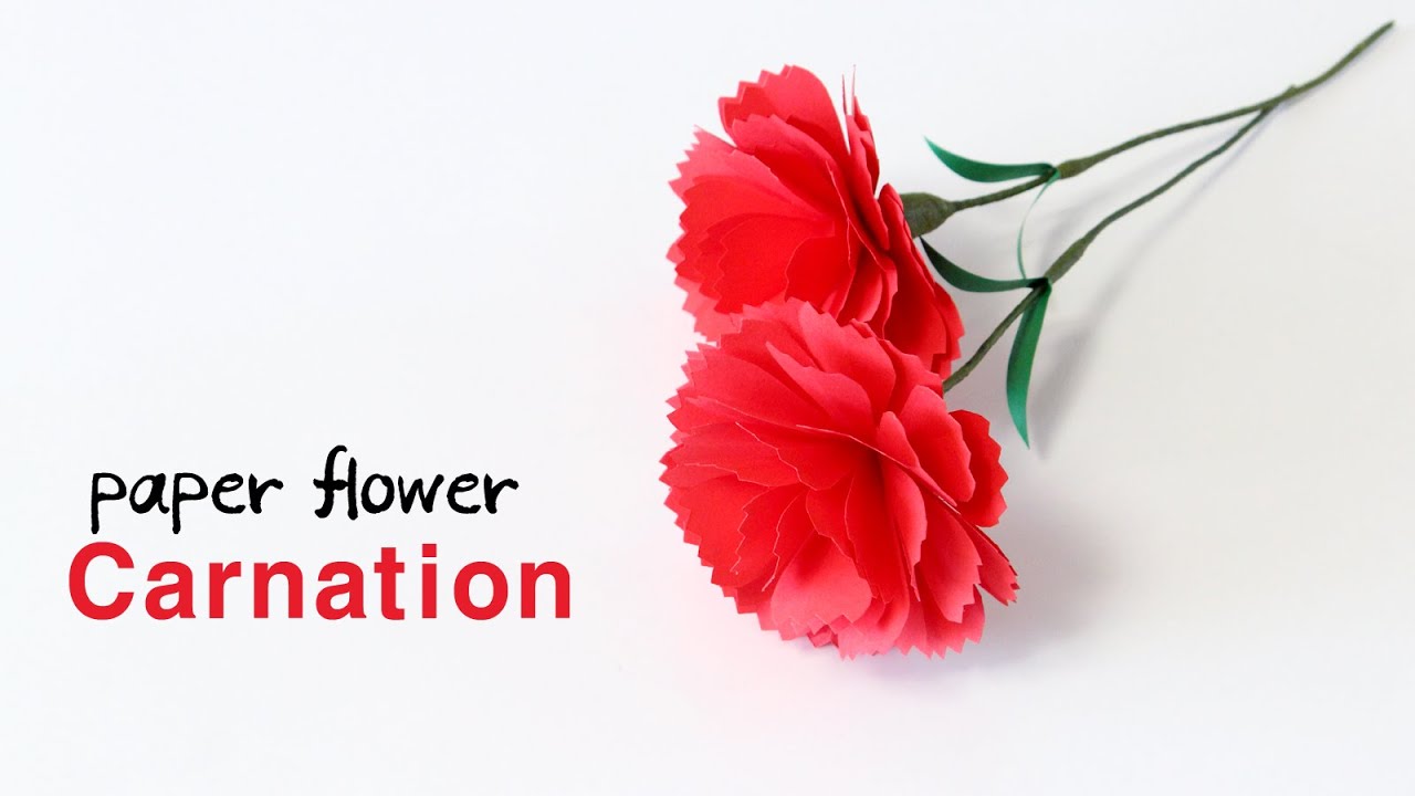 how to make paper flower carnation tutorial