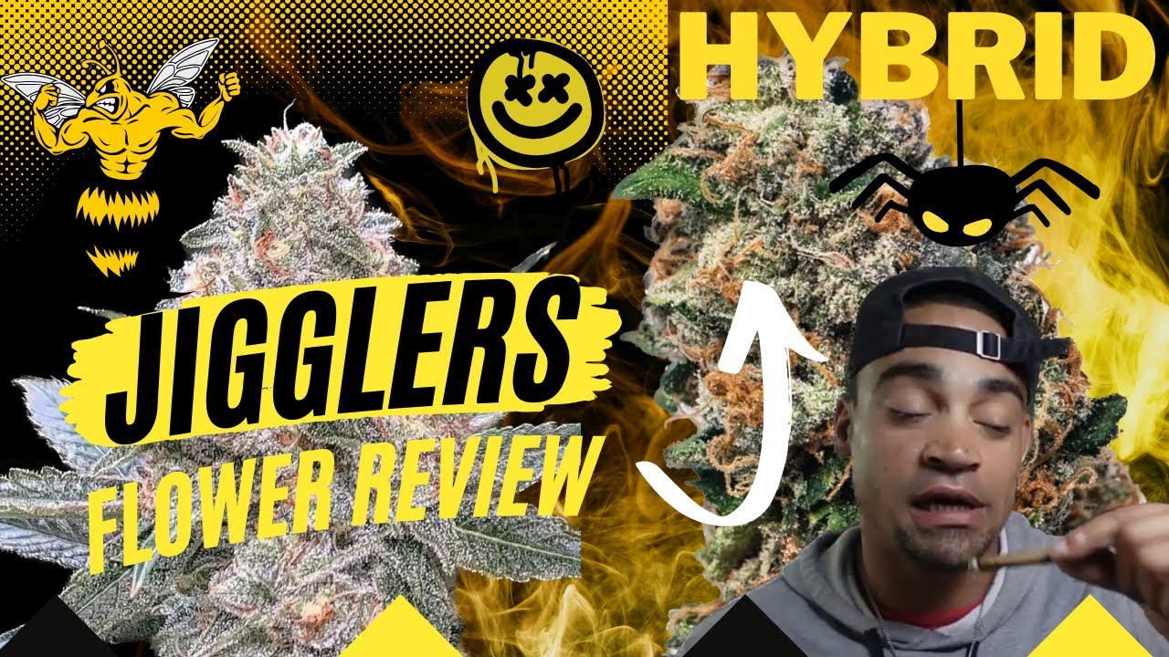 Jigglers: The Ultimate Indica-Dominant Hybrid With 23% THC!