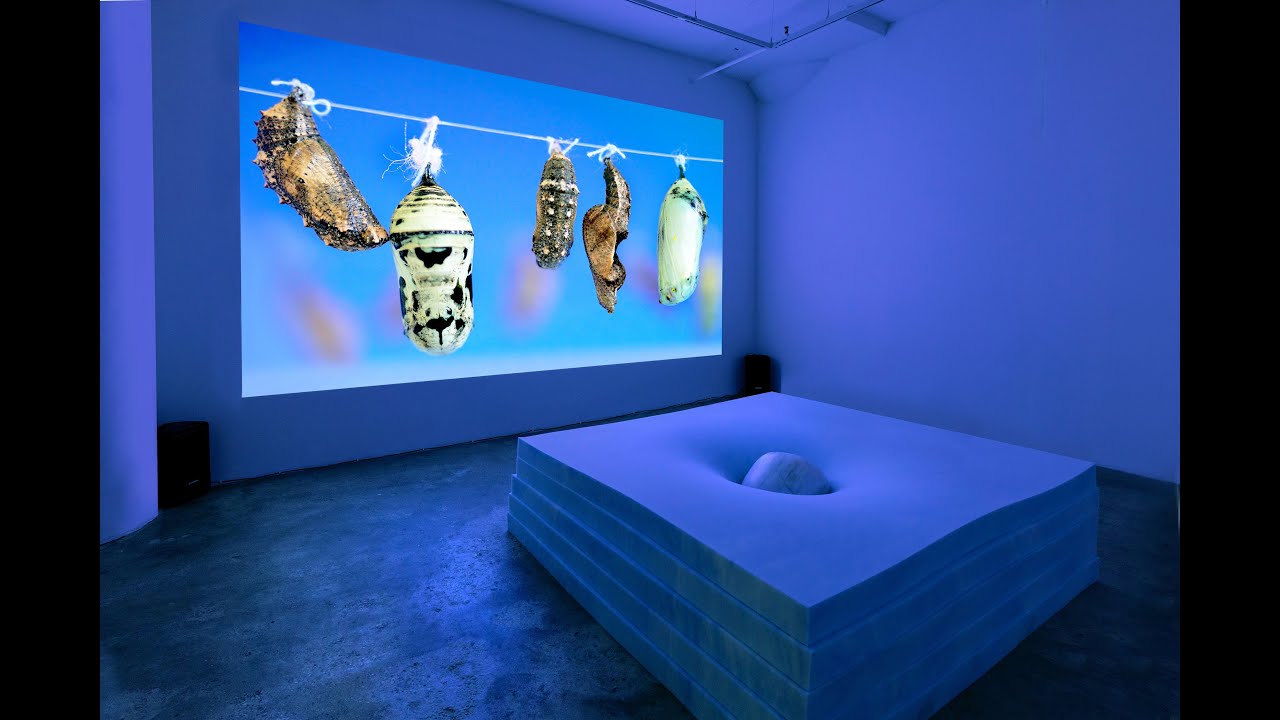 How to Conjure Portals between Physical and Psychic Realms via Video Art and Sculpture