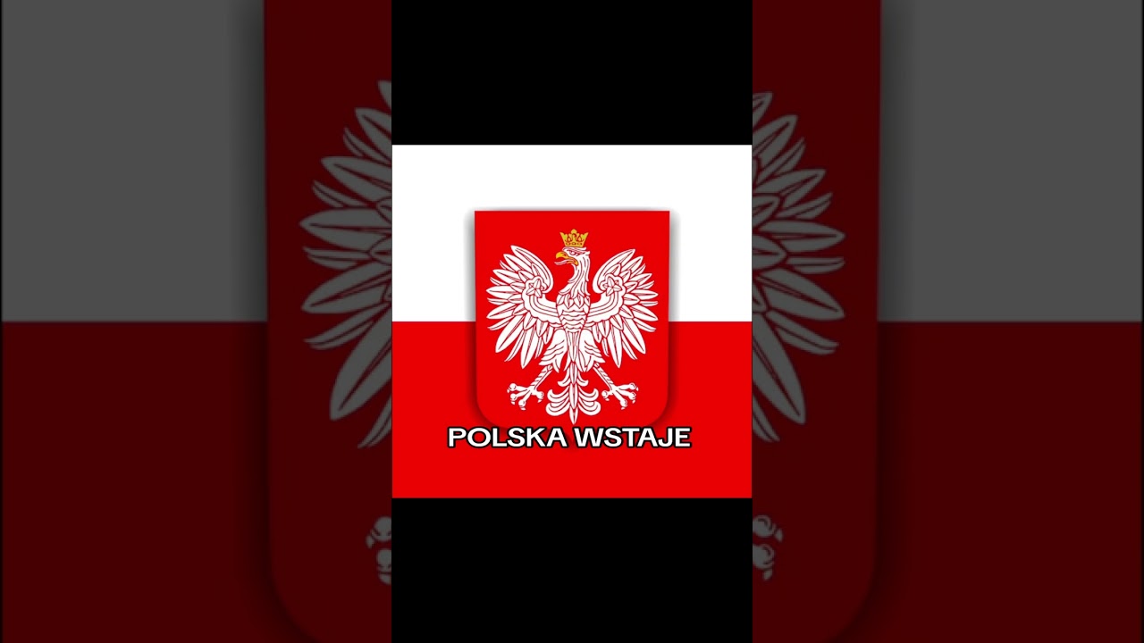 POLSKA WSTAJE #polska #szoszonczyk #rappl #muzyka 