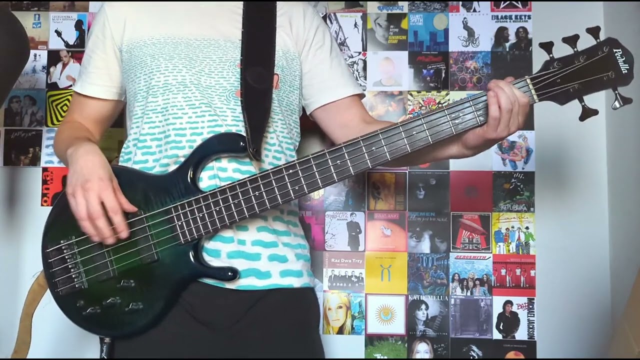 Republika - Śmierć w bikini (bass cover)