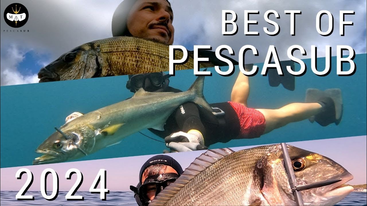 BEST OF PESCASUB - 2024