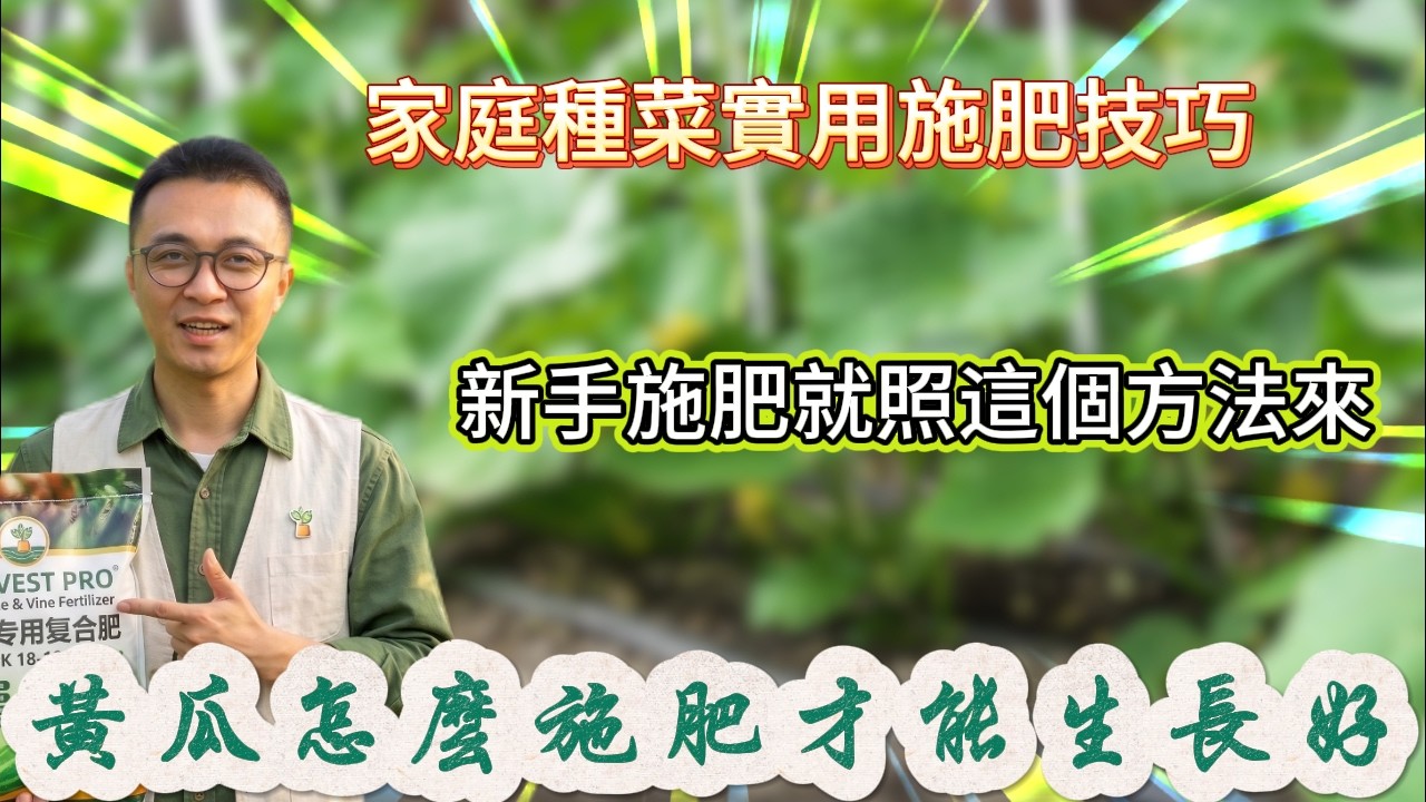 黃瓜怎麼施肥？才能生長好，花多？ #種植小技巧 #家庭種菜 #學種菜 #種菜