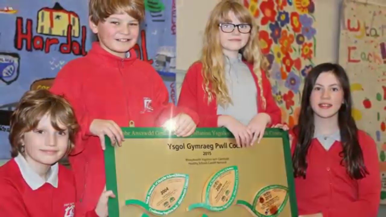 Healthy Schools Success for Ysgol Gymraeg Pwll Coch