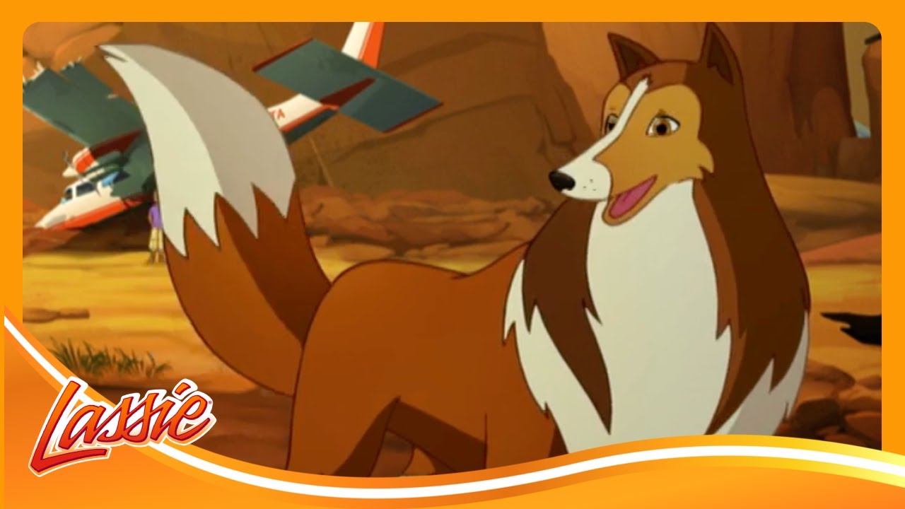 🐕 Fearless Dog Battles the Wild to Save Her Family🌲 | The New Adventures of Lassie @VIEWEDkids