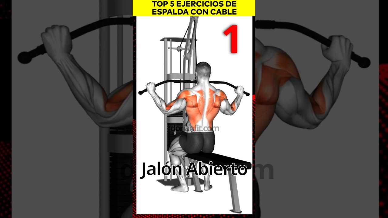 🔝 5 Mejores Ejercicios de Espalda con Cable #espalda #workout #gym