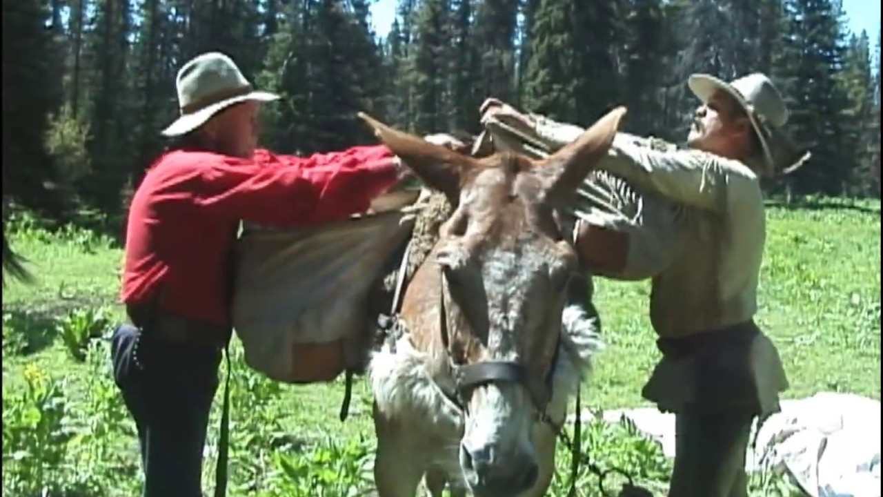Ride and  05National AMM Rendezvous