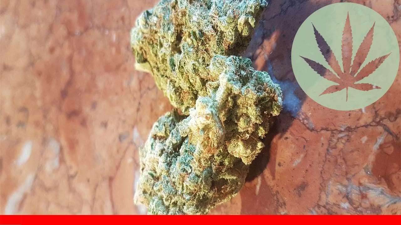 Whitewalker Og - All About This Strain