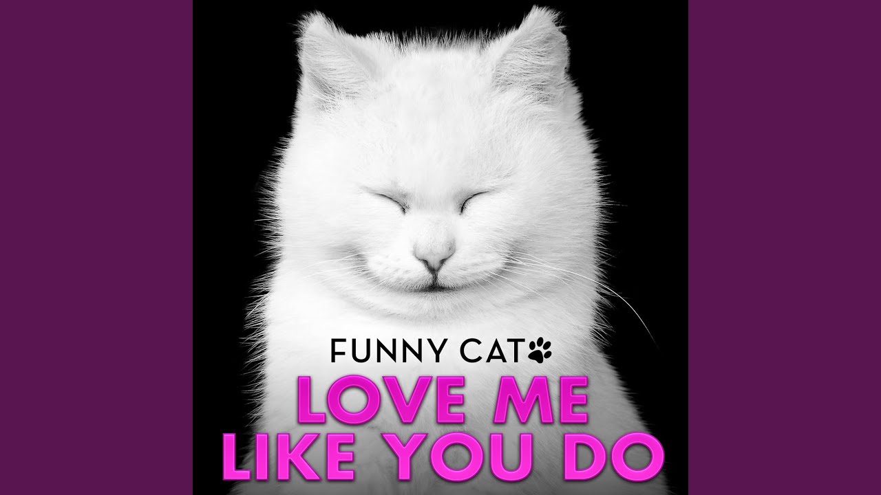 Love Me Like You Do (From 