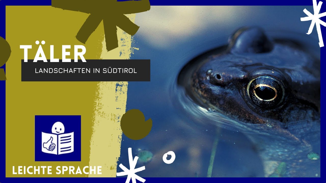 06 Leichte Sprache. Talboden.