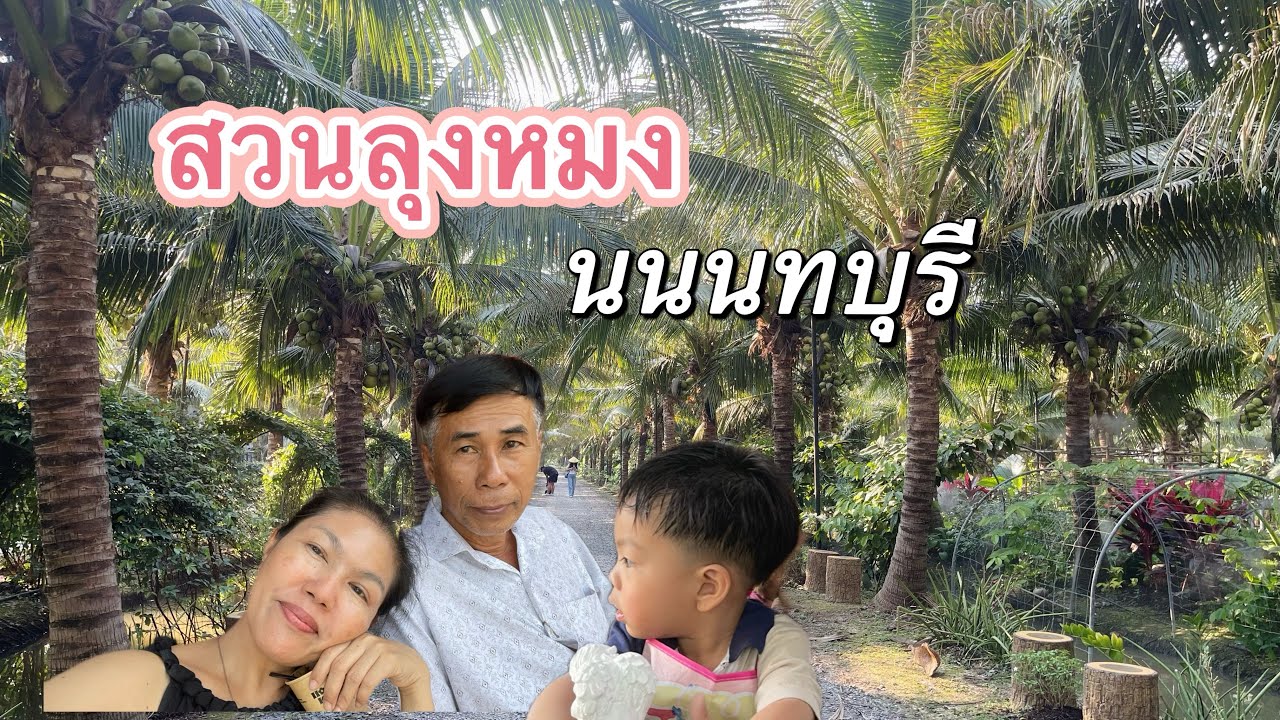 คาเฟ่และทีี่พักสไตล์บ้านสวนไกล้กรุงเทพ อำเภอไทรน้อย จังหวัดนนทบุรี 2/02/2026