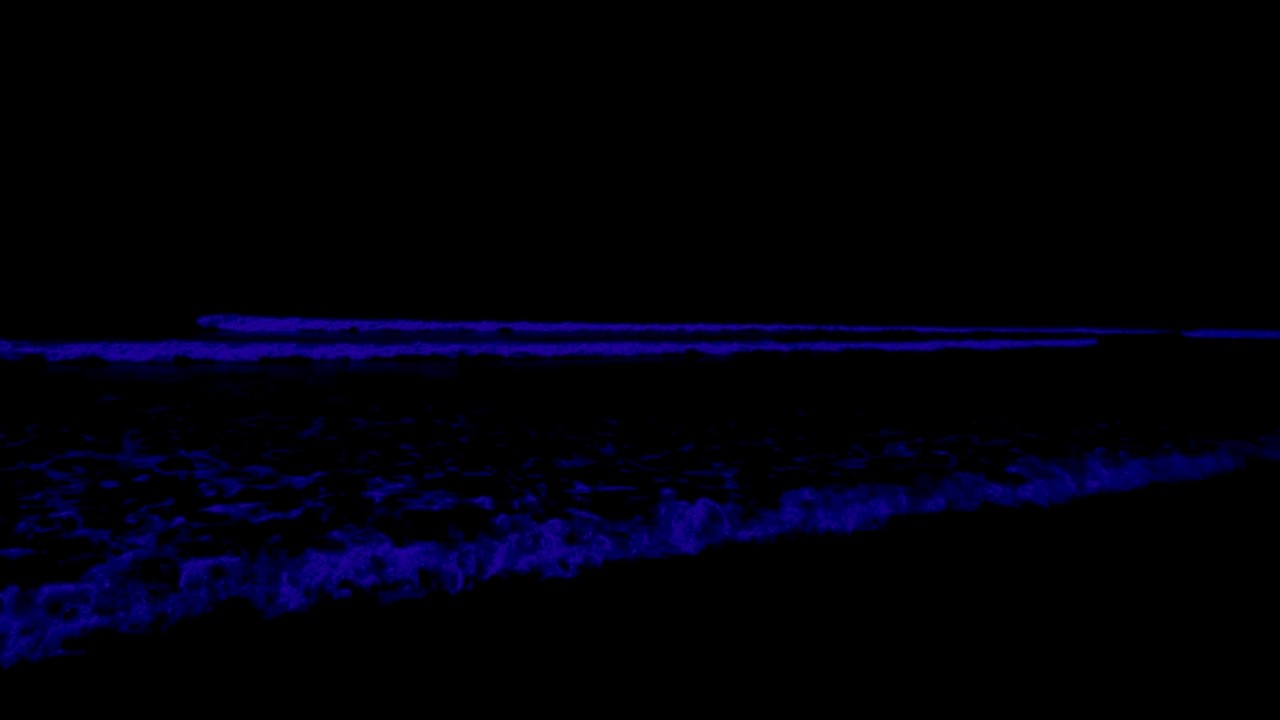 (No Ads) Insomnia Therapy • Ocean Sounds For Goodbye Stress Anxiety With Gentle Waves In Quiet Night