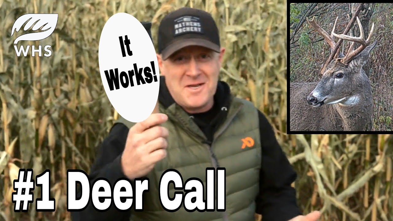 #1 Deer Hunting Call