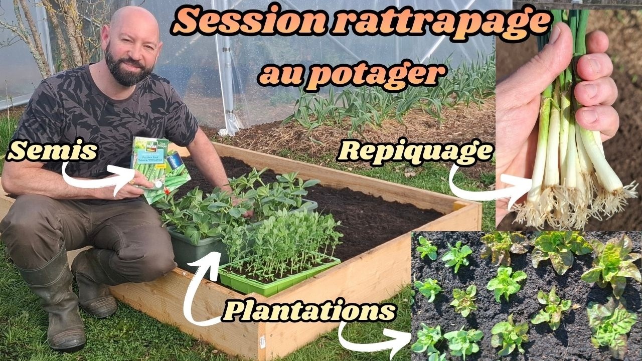 Semer, planter, repiquer en Mars #jardin #potager