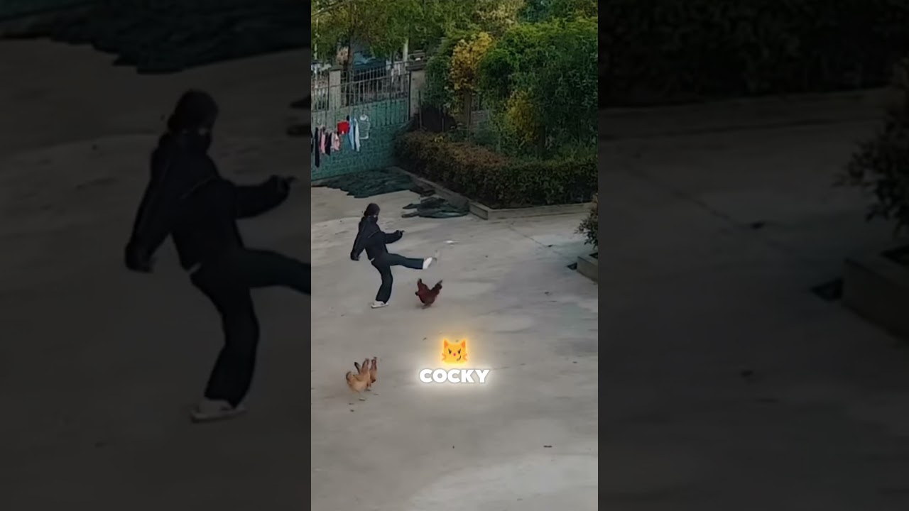 Epic Showdown: Woman vs Angry Rooster!