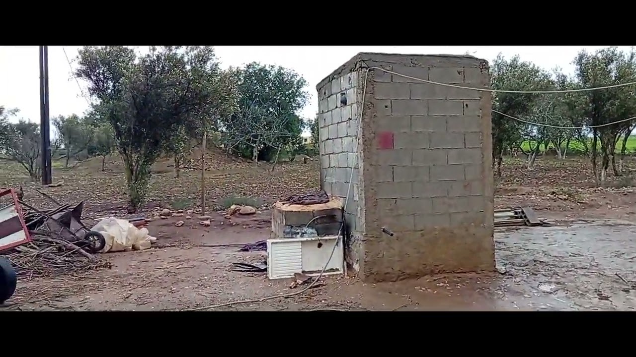 منزل به 5000 متر محفض تيتر نواحي بن معاشو بئرجديد الجديدة ثمن 60 مليون به كهرباء بئر 0613792120