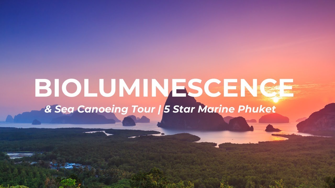 Phang Nga Bay Bioluminescence & Sea Canoeing Tour | 5 Star Marine Phuket
